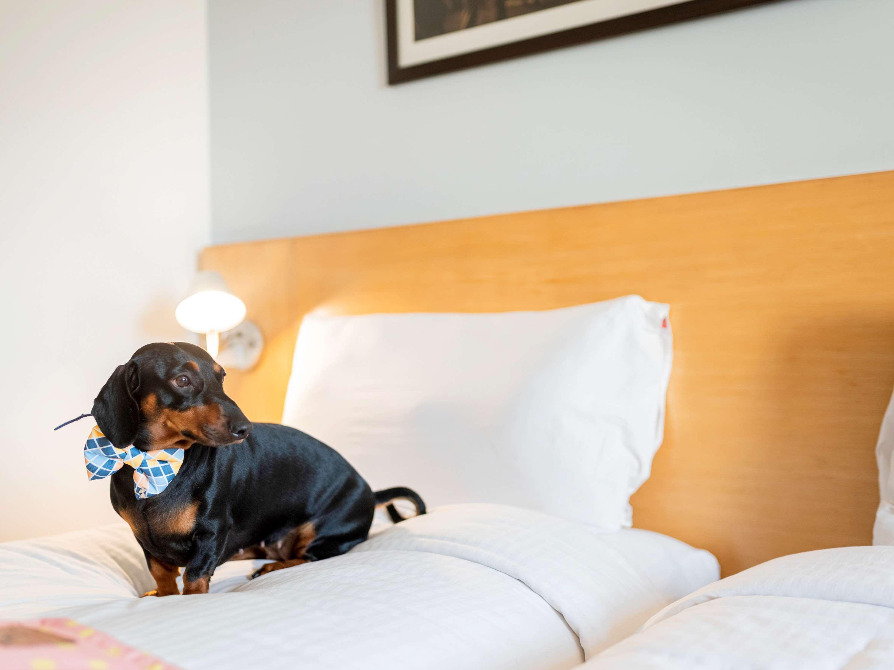 Ibis Coimbatore City Centre - An Accor Brand Kültér fotó