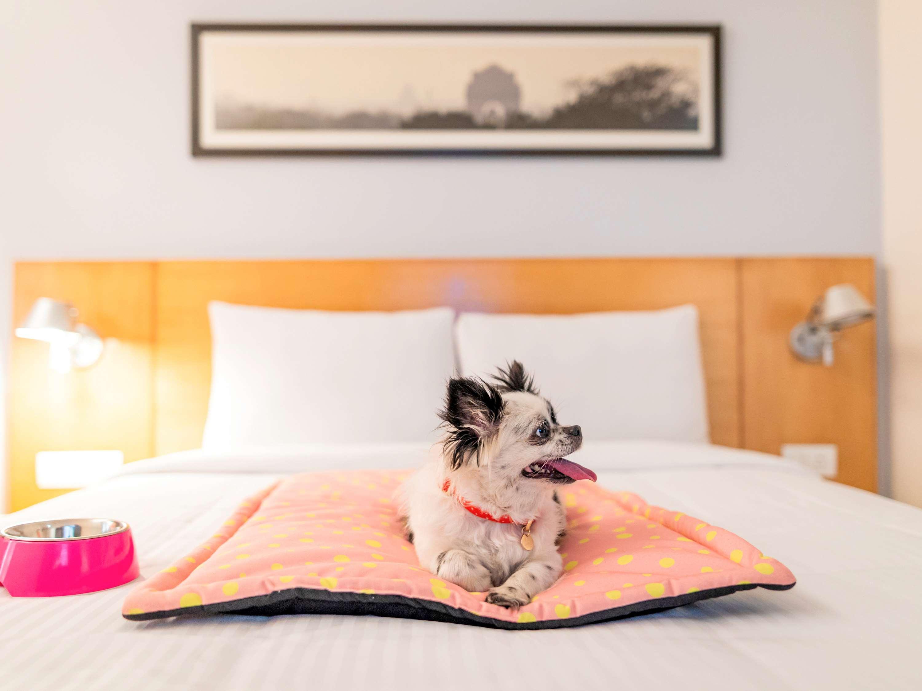 Ibis Coimbatore City Centre - An Accor Brand Kültér fotó